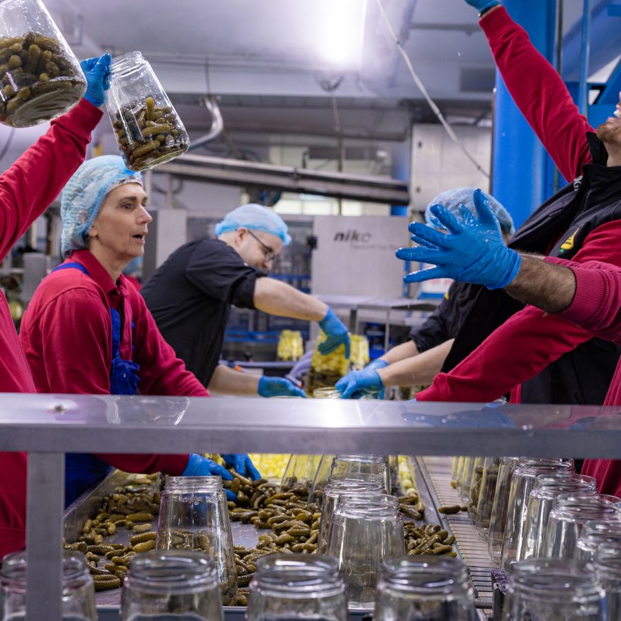 Vier personen in rode overall met blauwe haarnetjes over hun haar staan aan de lopende band van een augurkenfabriek. Een houdt twee potten met augurken de lucht in. 