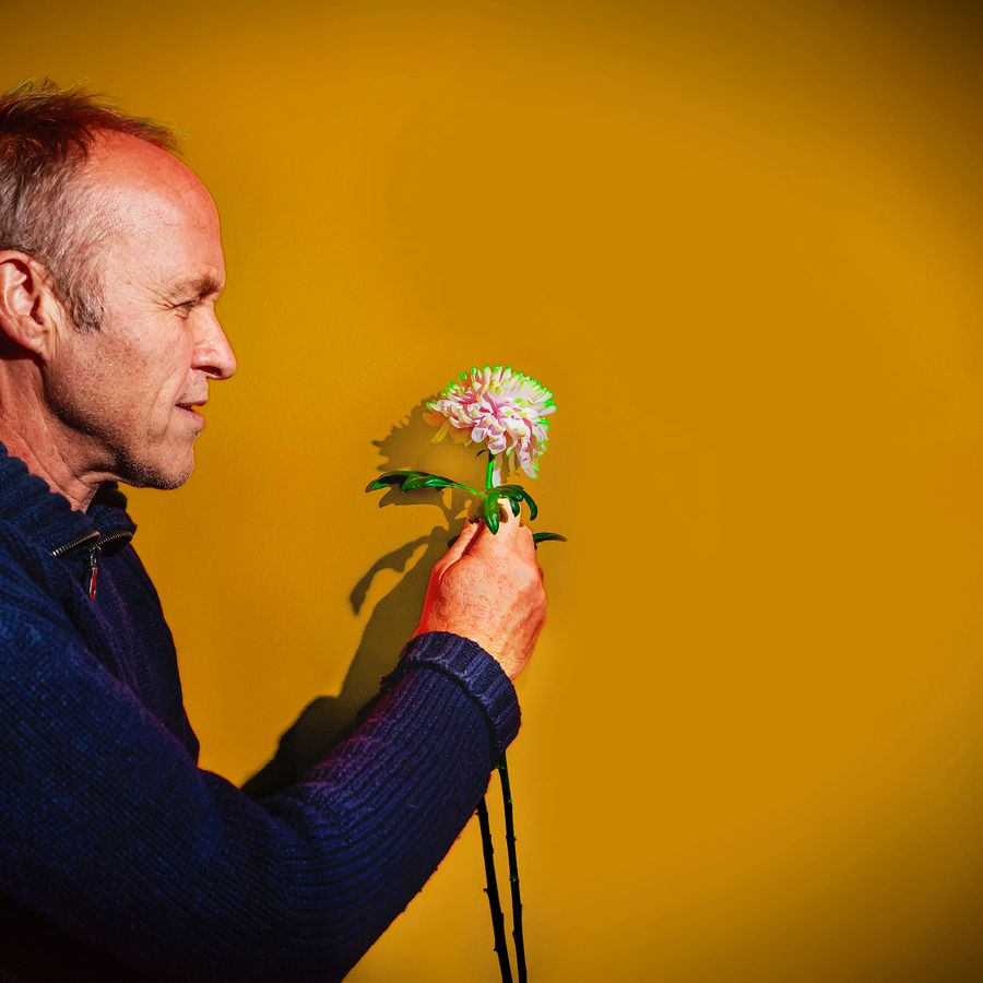 Stef Bos kijkt naar een bloem die hij vast houdt en lacht. De foto is van de zijkant genomen en de achtergrond is geel.