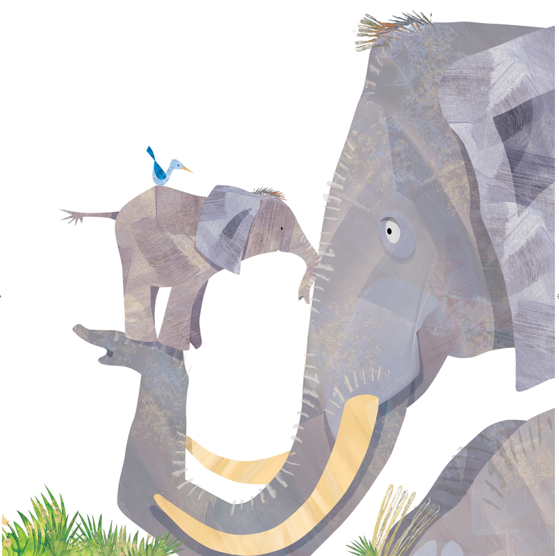 Een plaatje van een grote olifant en een kleine olifant die naar elkaar kijken en met hun slurf tegen elkaar aan staan. Op de kleine olifant zit een blauwevogel.