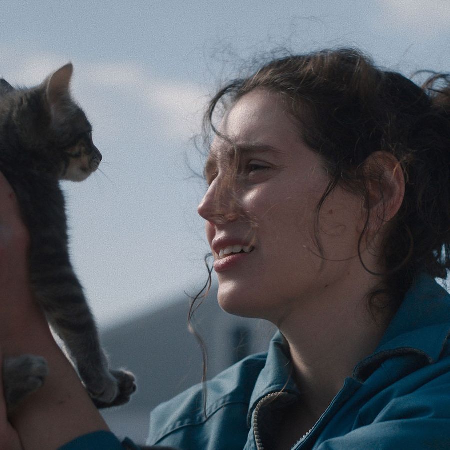 vrouw met donker haar en blauwe jas houdt een kitten hoog in haar handen en kijkt er naar. 