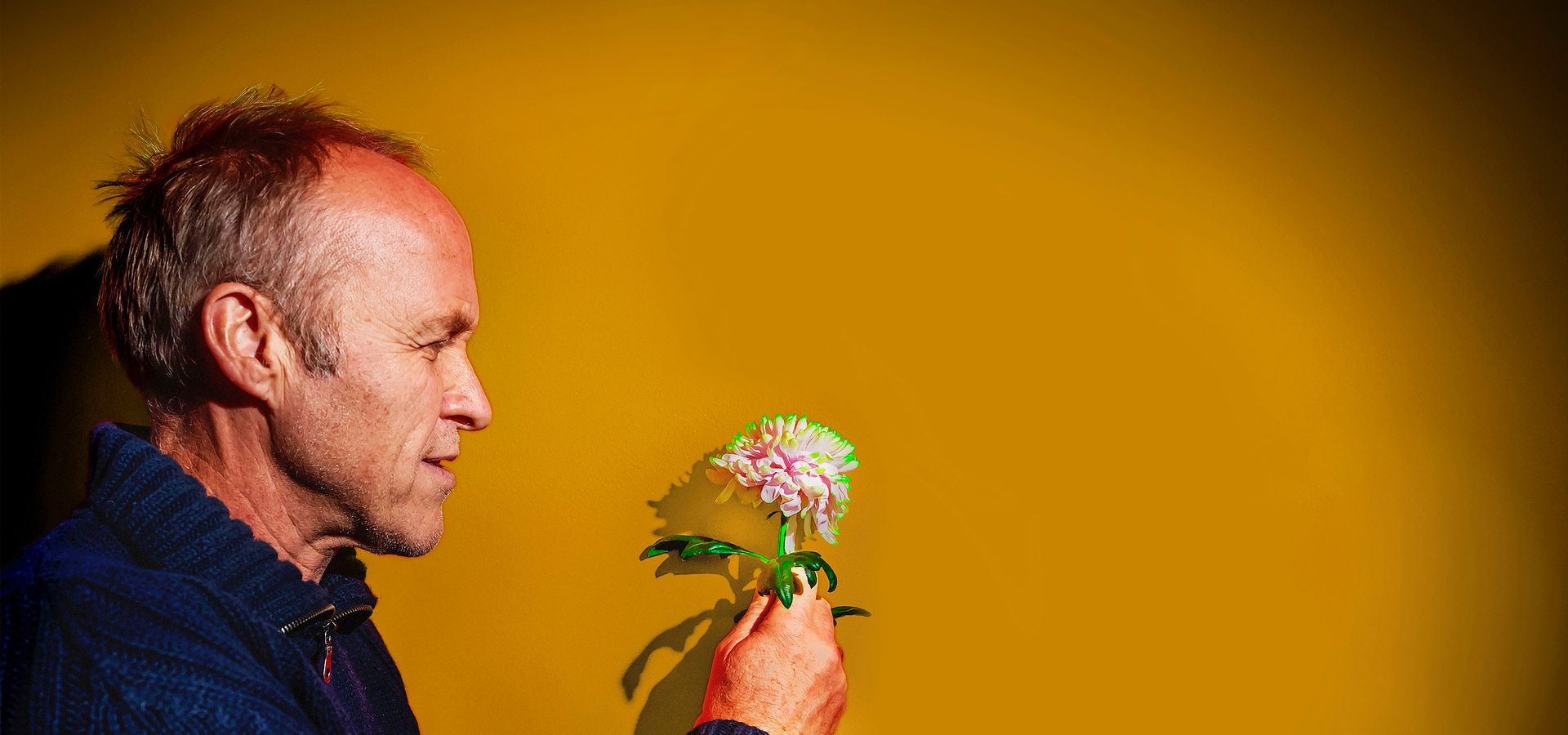 Stef Bos kijkt naar een bloem die hij vast houdt en lacht. De foto is van de zijkant genomen en de achtergrond is geel.