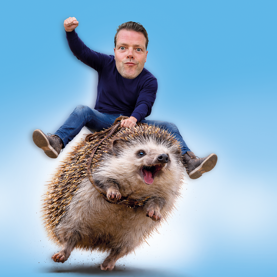 Een man zit op een egel die snel rent. Hij houdt zich vast met een touw die om de egel heen zit. De achtergrond is blauw.