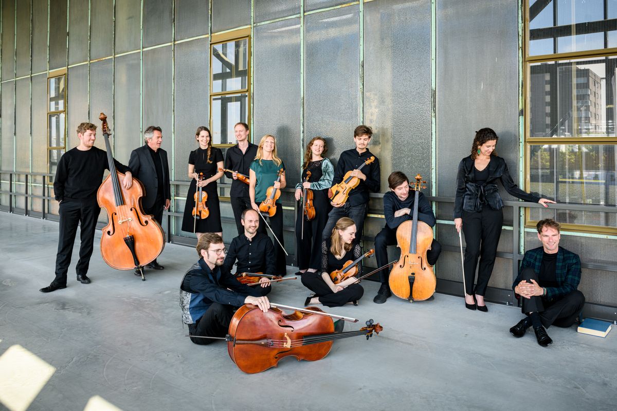 Het orkest met alle verschillende instrumenten staan bij elkaar.