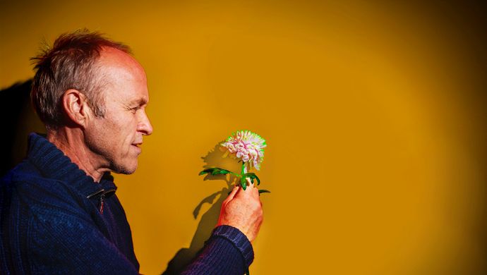 Stef Bos kijkt naar een bloem die hij vast houdt en lacht. De foto is van de zijkant genomen en de achtergrond is geel.