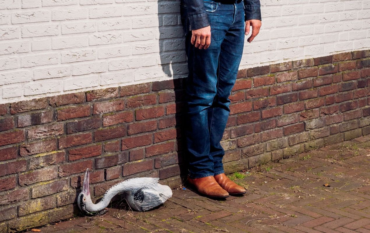 De voeten van Ronald met daarnaast een reiger die ingezakt ligt.